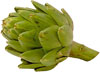 Artichokes - Italian (Green Globe), French (Pointed) and Thornless varieties
