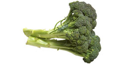 Broccoli - Calabrese, Emporer, Green Duke, Cruiser, and Broccoli Crowns