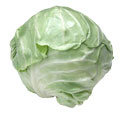 Cabbage - Domestic and Pointed US