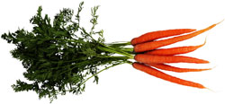 Carrots - Long type, Half Long type, short type